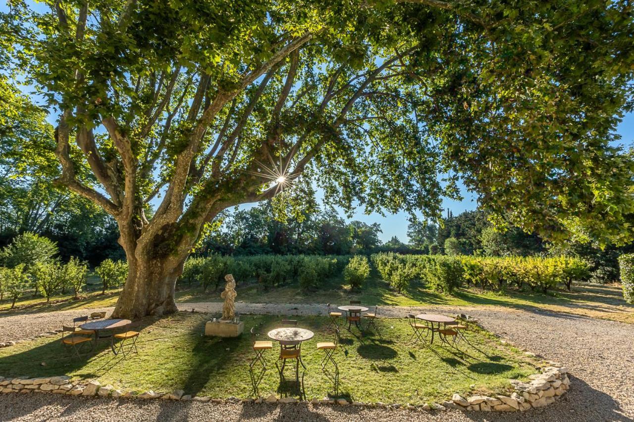 Mas De Capelou Bed and Breakfast Αβινιόν Εξωτερικό φωτογραφία