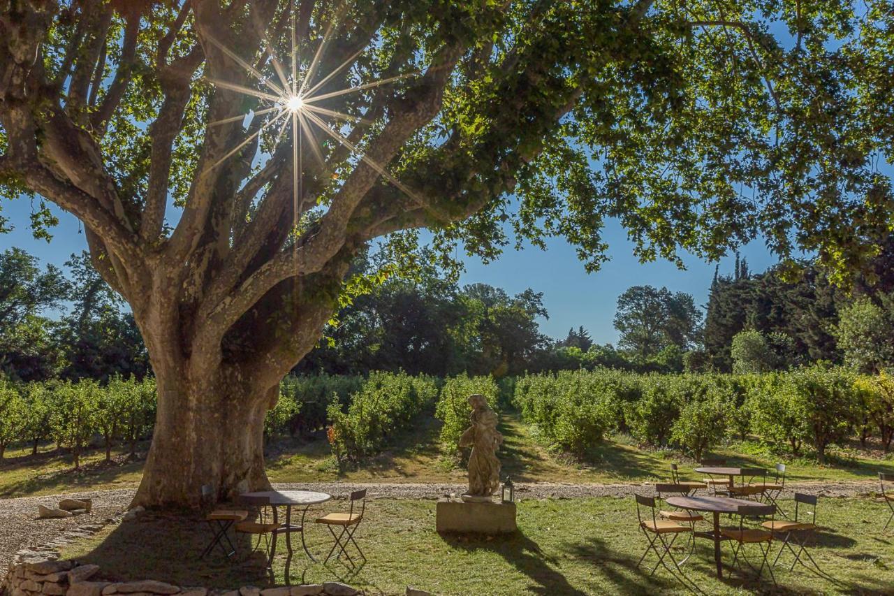 Mas De Capelou Bed and Breakfast Αβινιόν Εξωτερικό φωτογραφία