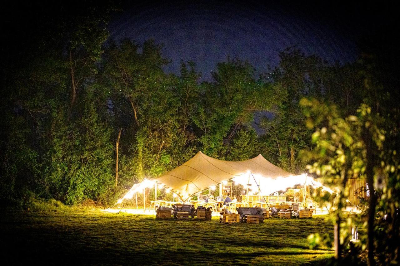 Mas De Capelou Bed and Breakfast Αβινιόν Εξωτερικό φωτογραφία